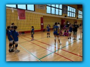 Volley S3 Malnate 26.04.26 (24).jpg